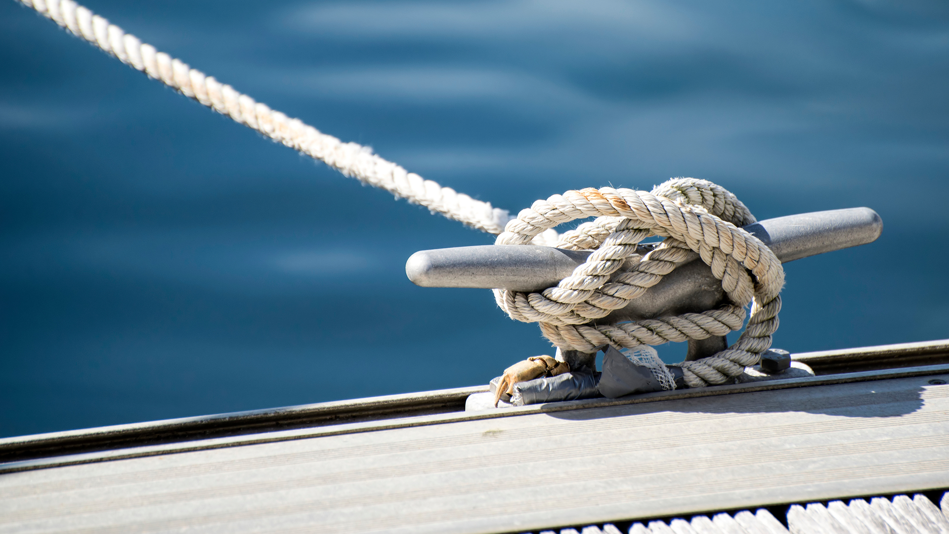Adobestock 55176070 1